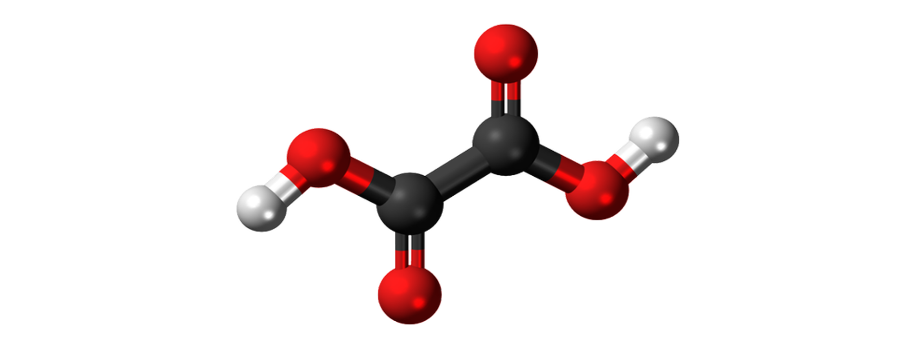 Acide oxalique et traitement du varroa