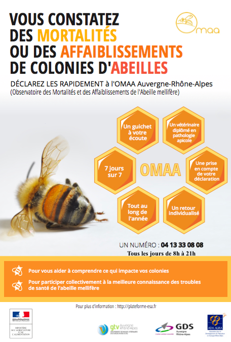 Observatoire des mortalités massives d'abeilles